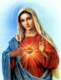 Mary Queen of Angels Oracle Card Reading - 5 Card